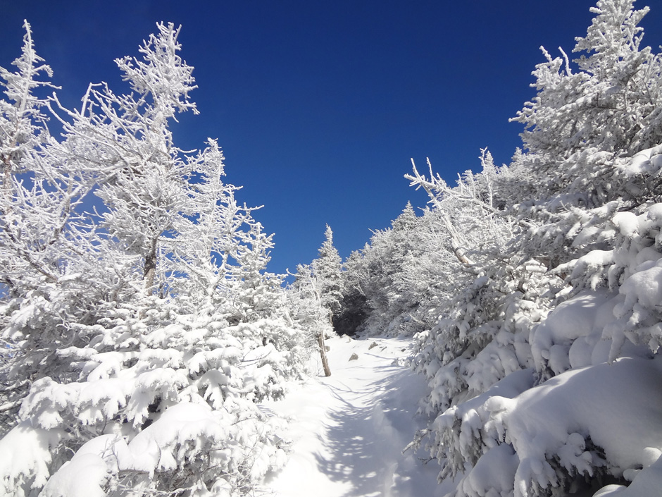 Mt. Lafayette Winter